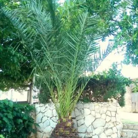 In Okrug Gornji With Terrace, Air Conditioning, Wifi, Washing Machine 5167-1 Trogir